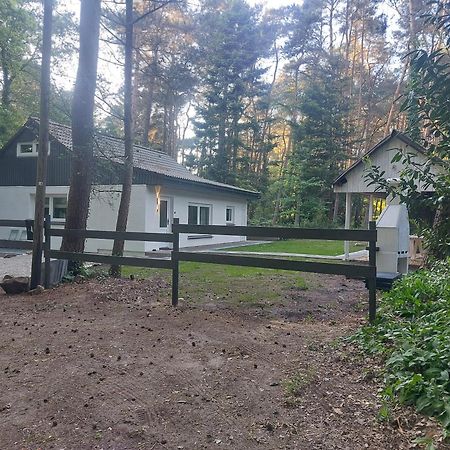 Huette An Der Aa Villa Емсбюрен Екстериор снимка